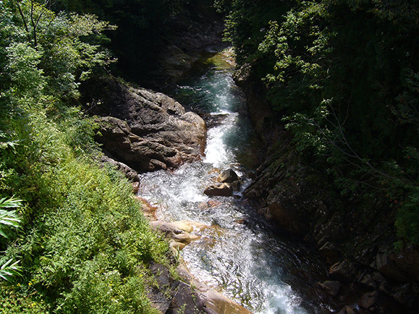 湯桧曽川の渓流