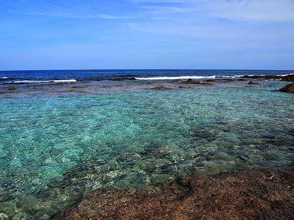 沖縄海の水質