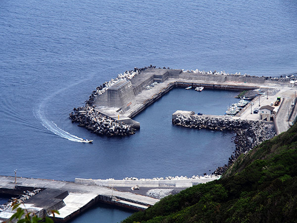 御蔵島港 漁船溜まり 上空から