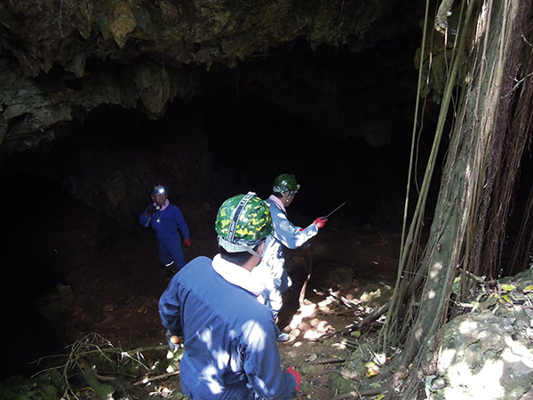 入口は畑の真ん中！南大東島の洞窟に潜入し地底湖を目指すのサムネイル