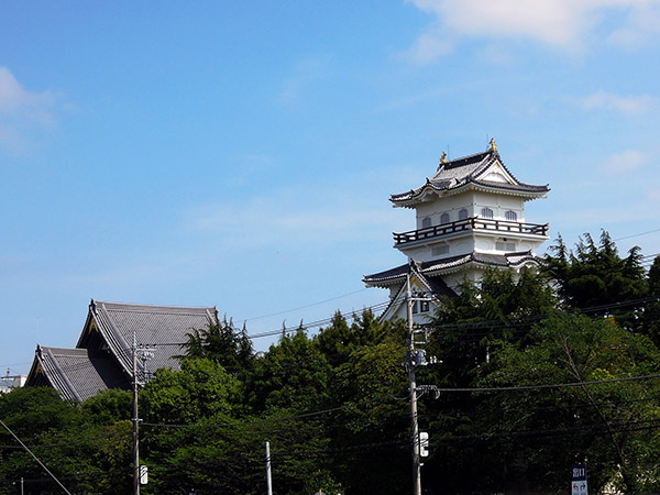 ドムドムハンバーガー野田運河プラザ館店に行ってみた 日記 ありの木