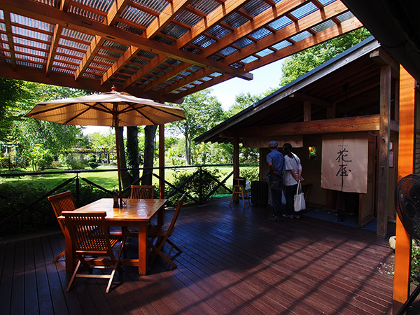 小布施旅行 あけびの湯 特別室と 花屋 のランチ 日記 ありの木