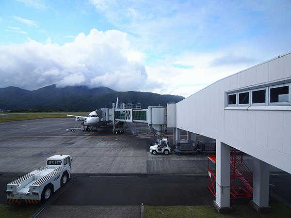 ANA airplane arriving at Hachijo-jima