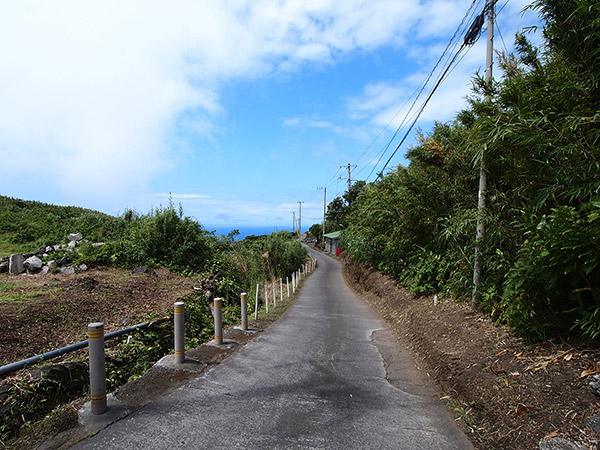 Roads in the village