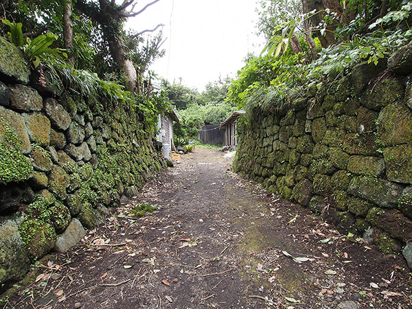 Stone walls of houses