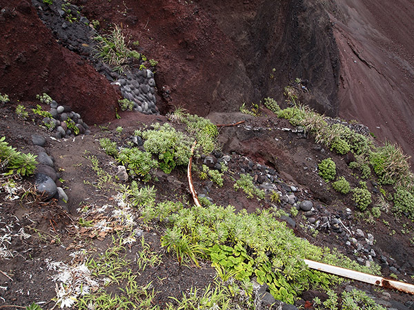 A collapsed road