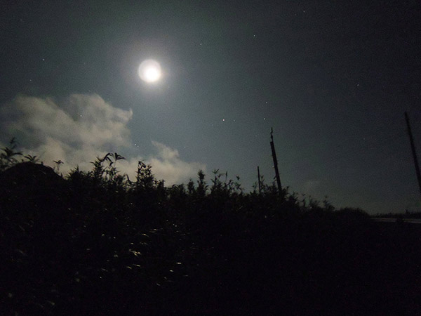 The starry sky of Jouman area