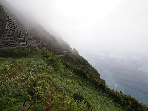 A road enveloped in fog