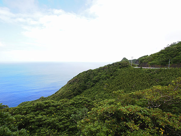 A road along the sea