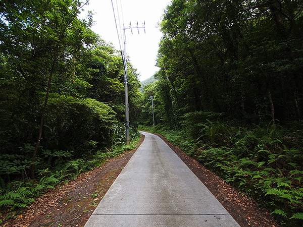 A road in Ikenosawa