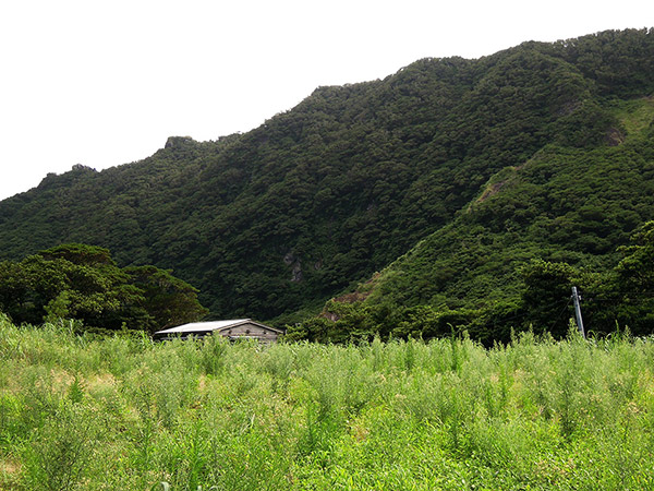 A hut in Ikenosawa