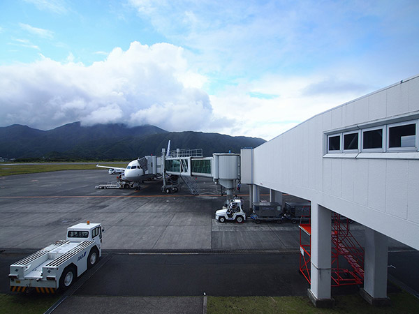 八丈島に着いた全日空機