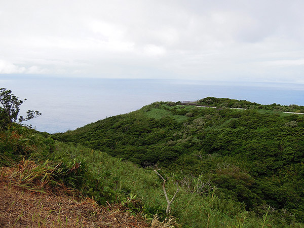 神子の浦の遠景