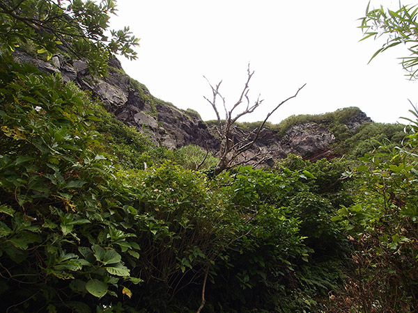 神子の浦の崖