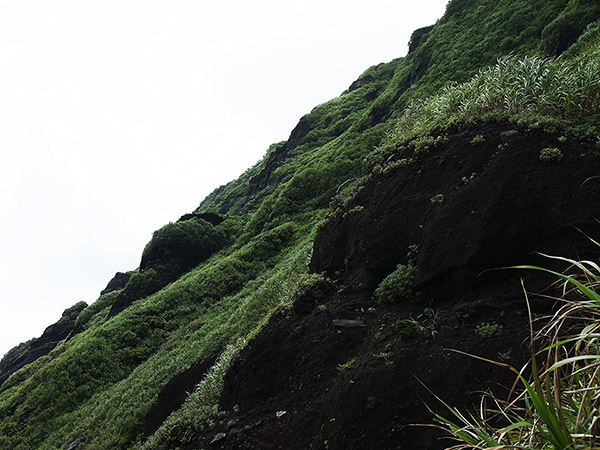 一面草に覆われた溶岩質の斜面