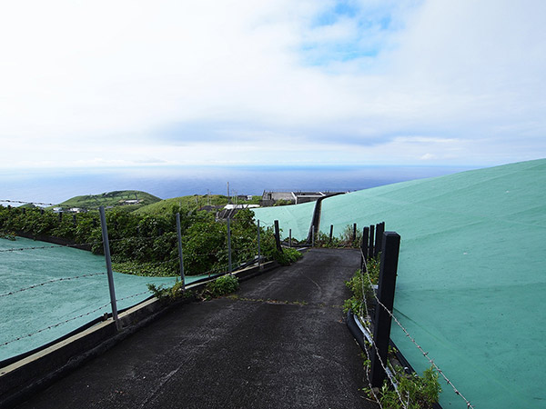 向沢取水場