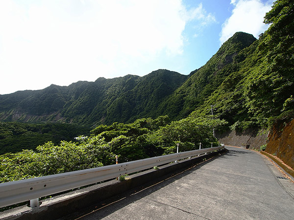 池之沢へ続く坂道