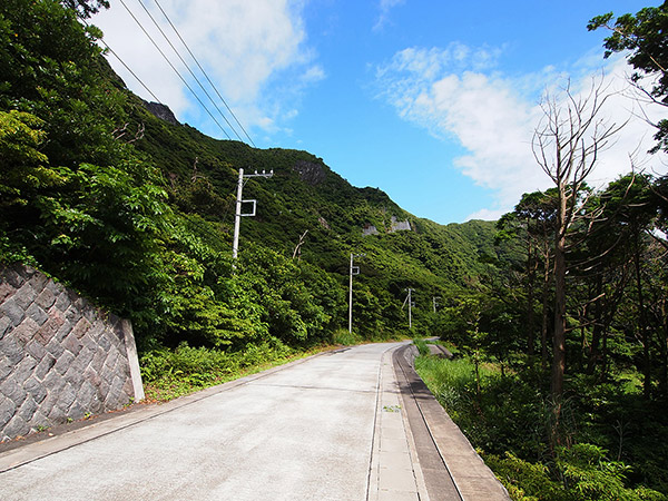 池之沢の環状道路