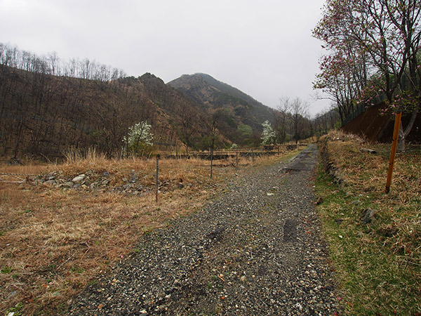 深沢住宅