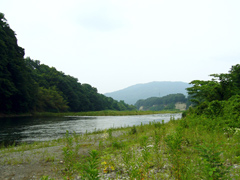 自然豊かな荒川