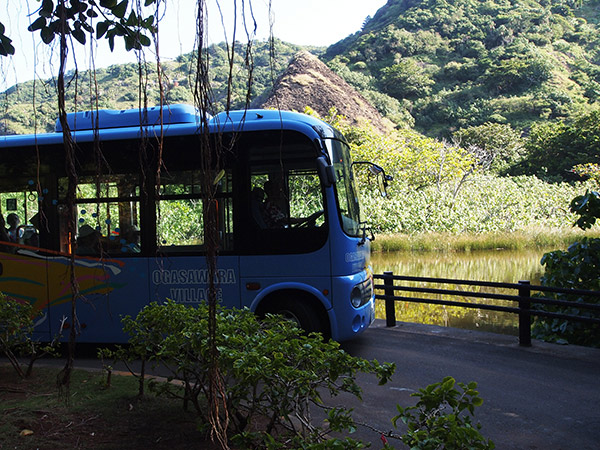 小港海岸バス停