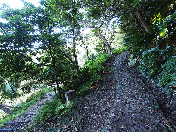 中山峠 登山道