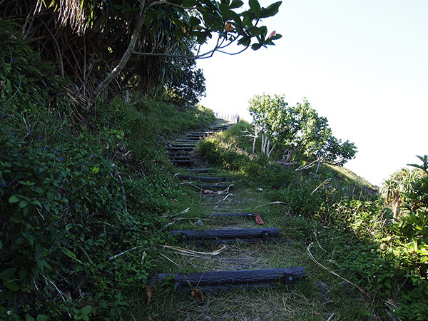 中山峠に続く階段