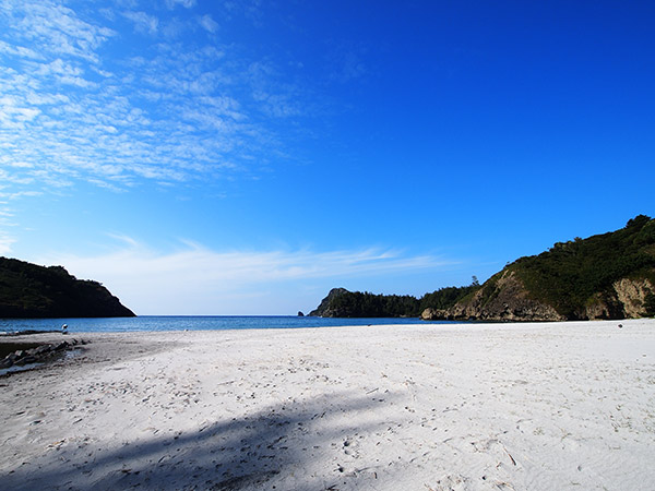 父島の小港海岸は美しいビーチを独り占めできる穴場スポットのサムネイル