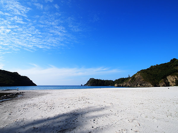 小港海岸の砂浜