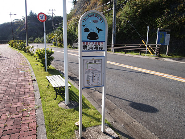 村営バス「境浦海岸」停留所