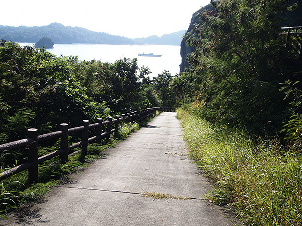 境浦に続く坂道