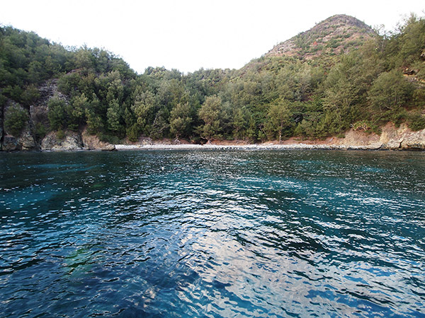 兄島瀬戸海中公園 海面