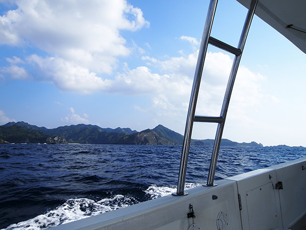 父島の海岸