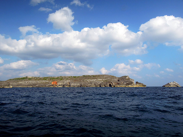 南島の全景