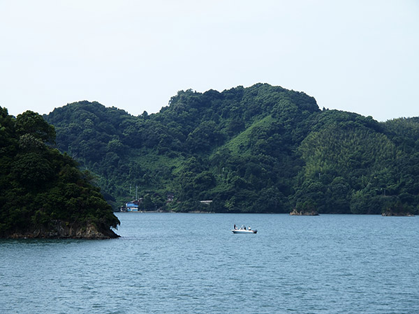 生野島の海岸
