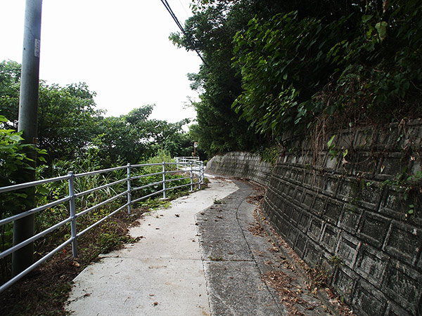 生野島 道路