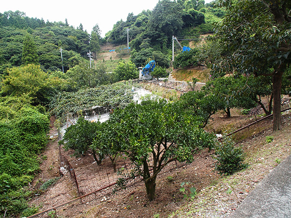 生野島 かんね地区