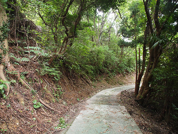 生野島 草浦の道順