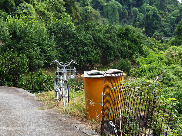 生野島 くさの浦 自転車