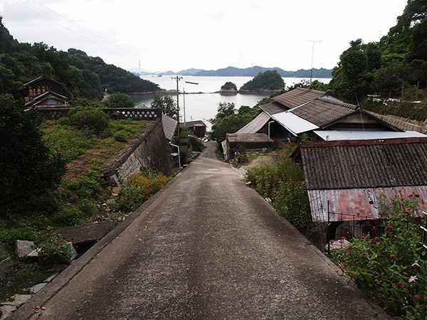生野島 草浦の道路