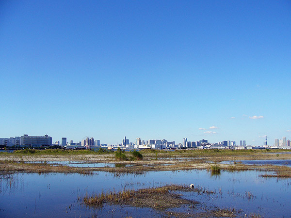 都心のビル群を一望できる都会の僻地に行くのサムネイル