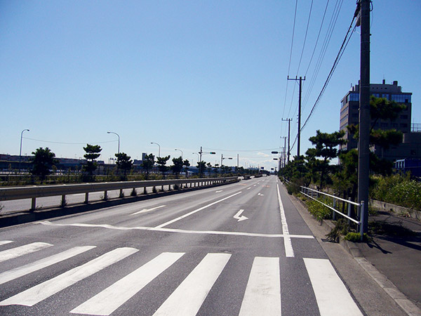 内側埋立地の道路