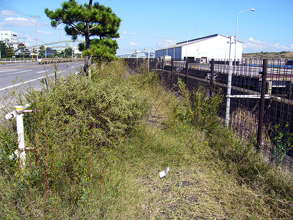 草に覆われた歩道