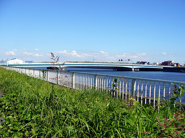 中防大橋