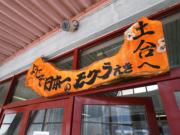 日本一のモグラ駅 土合