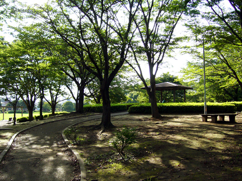 ユーカリが丘南公園