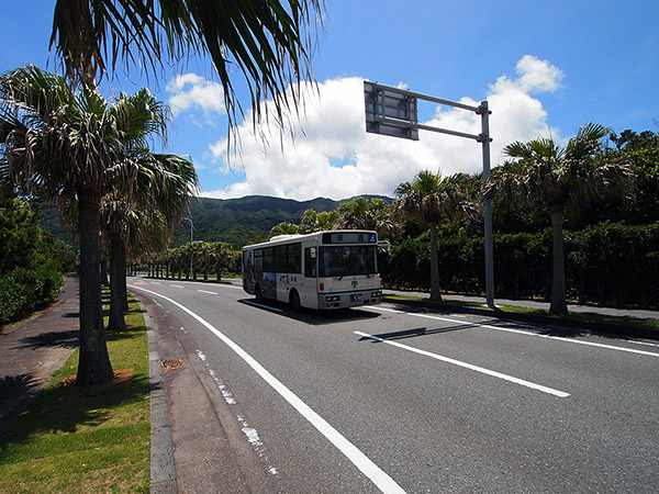 八丈島の路線バス