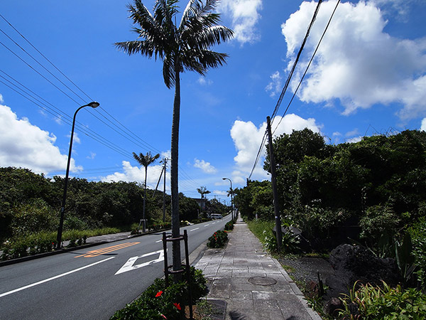 底土港に続く道路