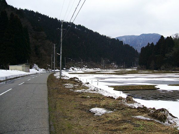 県道207号線を進む