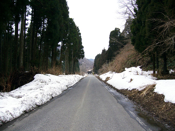 県道207号の坂を登る